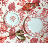 4 rectangular dinner plates Coral red Coastal Coral Red NEW - THE WILD SHOWCASE