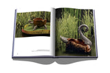 Unexpected Creations - The Wild Showcase