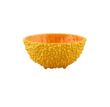 Amazon - Bowl 16.5 Yellow - THE WILD SHOWCASE