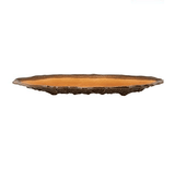 Amazon - Tray 35.5 - THE WILD SHOWCASE