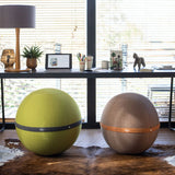 Balloon Seat - Bloon Original - Lime Green - THE WILD SHOWCASE