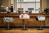 BAR STOOL PANDA - THE WILD SHOWCASE