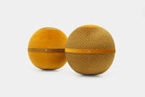 Bloon Edition - Panaz - Mustard Yin - THE WILD SHOWCASE