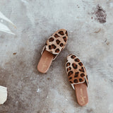 Carrie Brown Leopard - THE WILD SHOWCASE