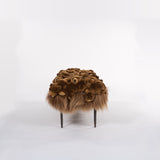 GRIZZLY NEST BENCH - The Wild Showcase