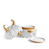 Haas Lynda Box + Plates (Set of 4) - THE WILD SHOWCASE