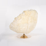 ICEBERG - The Wild Showcase