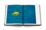 The Coral Triangle - The Wild Showcase