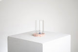 Toothbrush Tumbler - THE WILD SHOWCASE