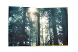 Trees in Focus - The Wild Showcase