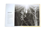 Trees in Focus - The Wild Showcase