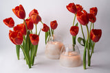 Vaina Candle Holder Glass - Medium - THE WILD SHOWCASE