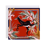 Zambezi Gift Card Box Set - THE WILD SHOWCASE