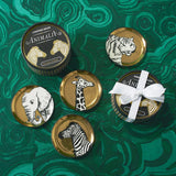 ANIMALIA COASTERS - THE WILD SHOWCASE
