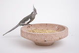 BOWL PINK CANTERA - THE WILD SHOWCASE
