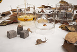 PAIR OLD FASHIONED GLASS - THE WILD SHOWCASE
