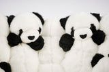 PANDA - THE WILD SHOWCASE