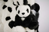 PANDA - THE WILD SHOWCASE