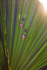 POMEGRANATE FLUORITE EARRING - THE WILD SHOWCASE