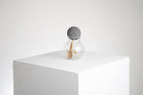 "SALSERO" SPOON CONTAINER - THE WILD SHOWCASE