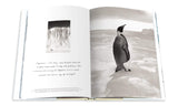 South Pole: The British Antarctic Expedition 1910 - The Wild Showcase