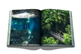 Tulum Gypset - The Wild Showcase