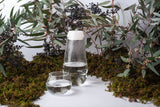 Vaina Pitcher Water - THE WILD SHOWCASE