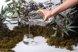 Vaina Pitcher Water - THE WILD SHOWCASE