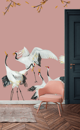 Wallpaper cranes pink Japanese Crane Dance - THE WILD SHOWCASE